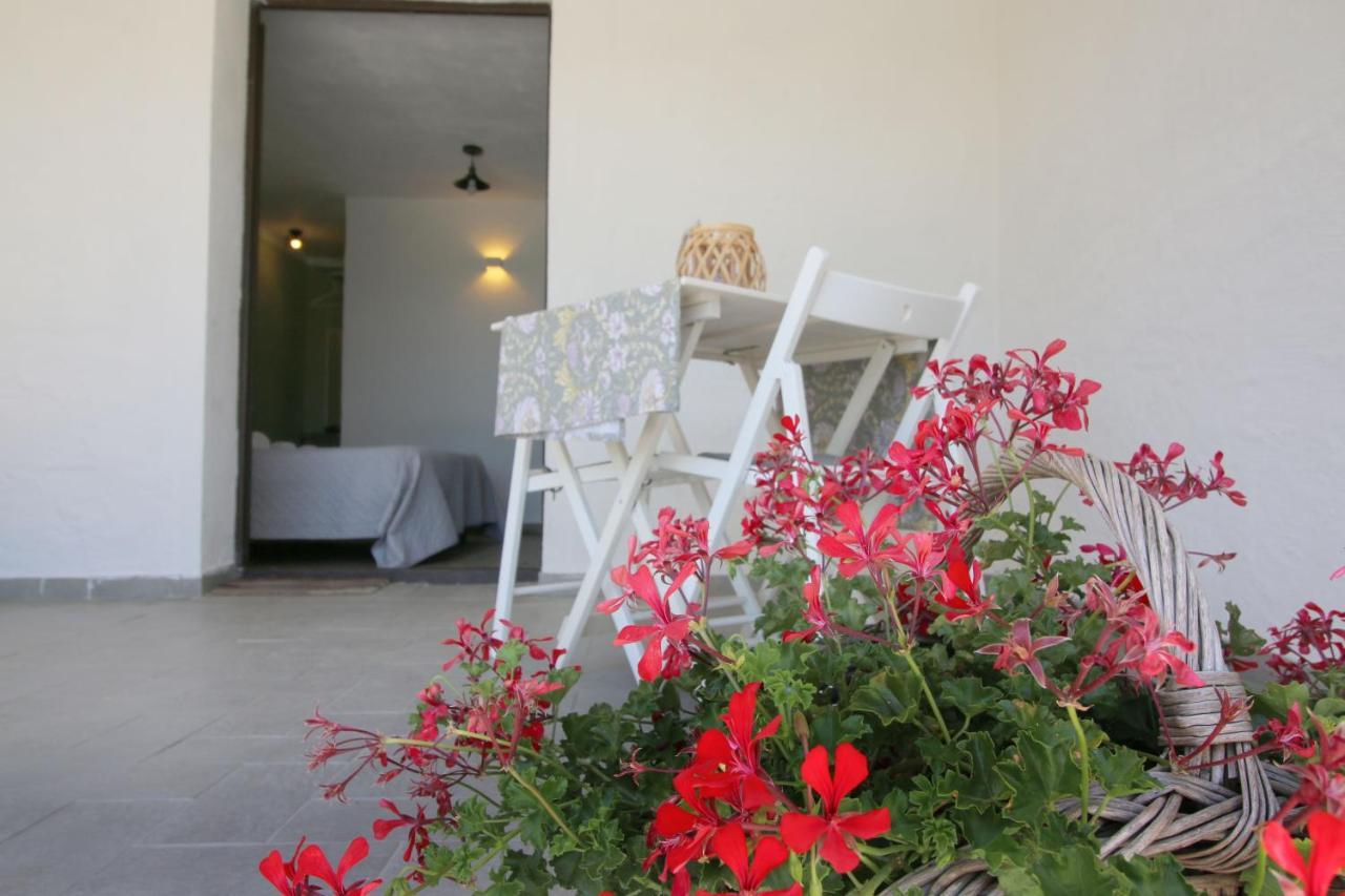 Bnb Anacleto Bassacutena Exterior foto
