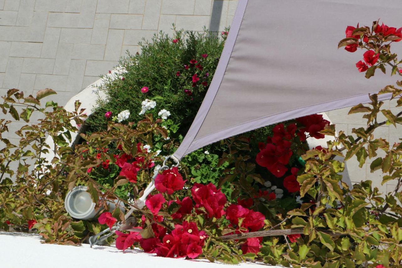 Bnb Anacleto Bassacutena Exterior foto